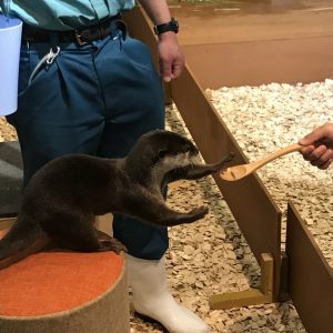 IMG_2225 (1024x1024)