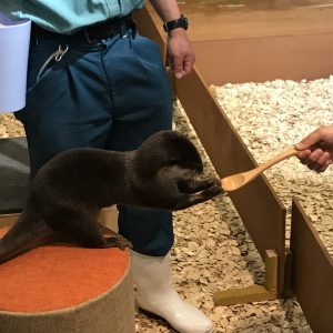 IMG_2226 (1024x1024)