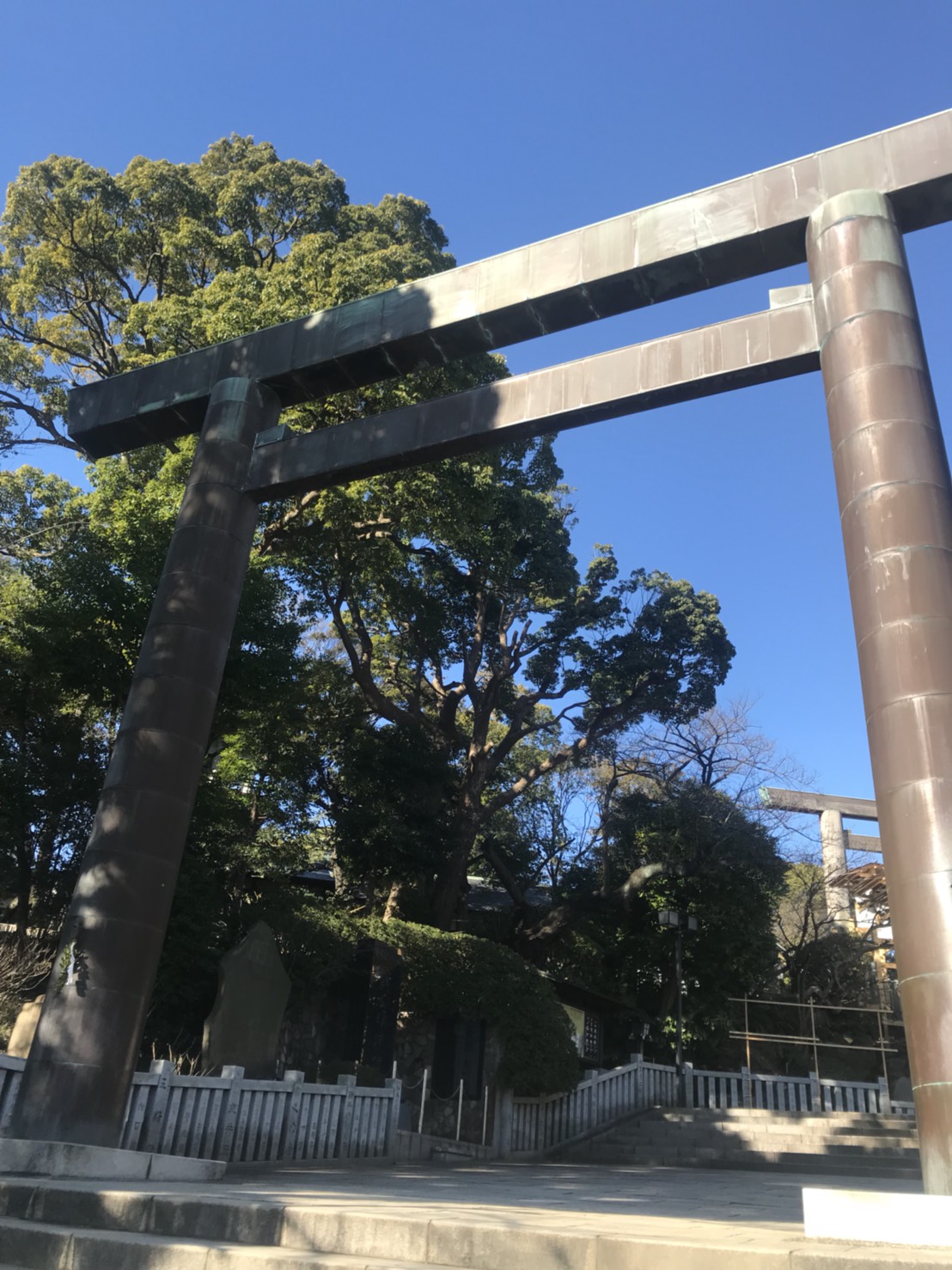 ジンジャのススメ