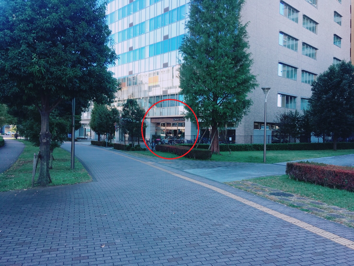 LOHAS　studio　Tachiawa!