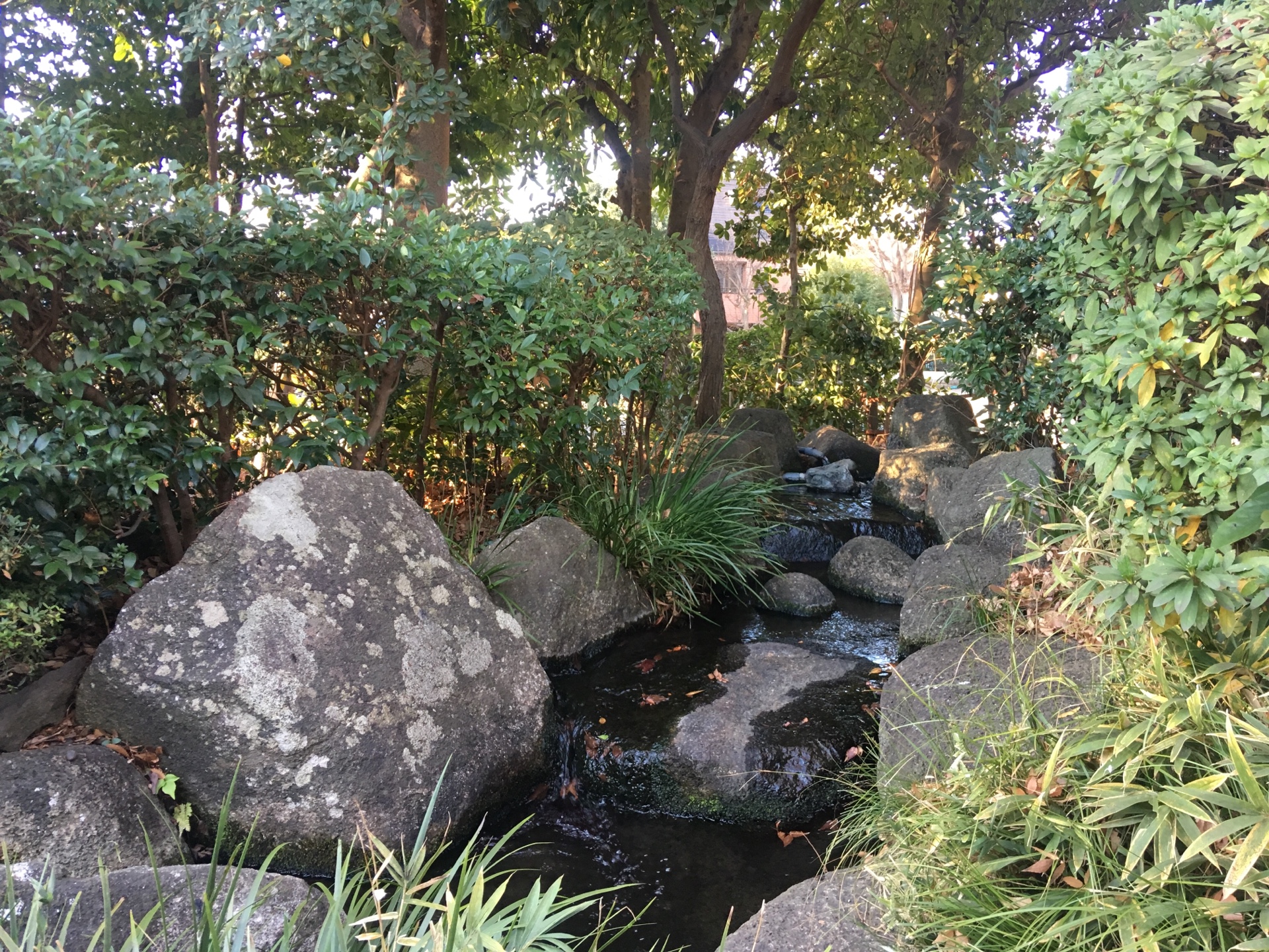 明けましておめでとうございます！