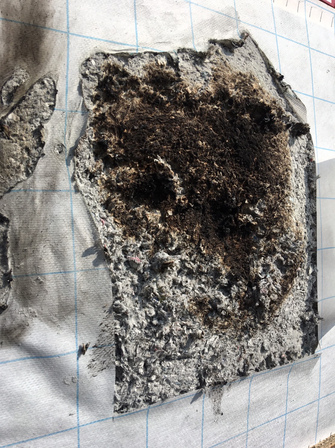 研修風景　Vol.1　珪藻土を塗ろう！