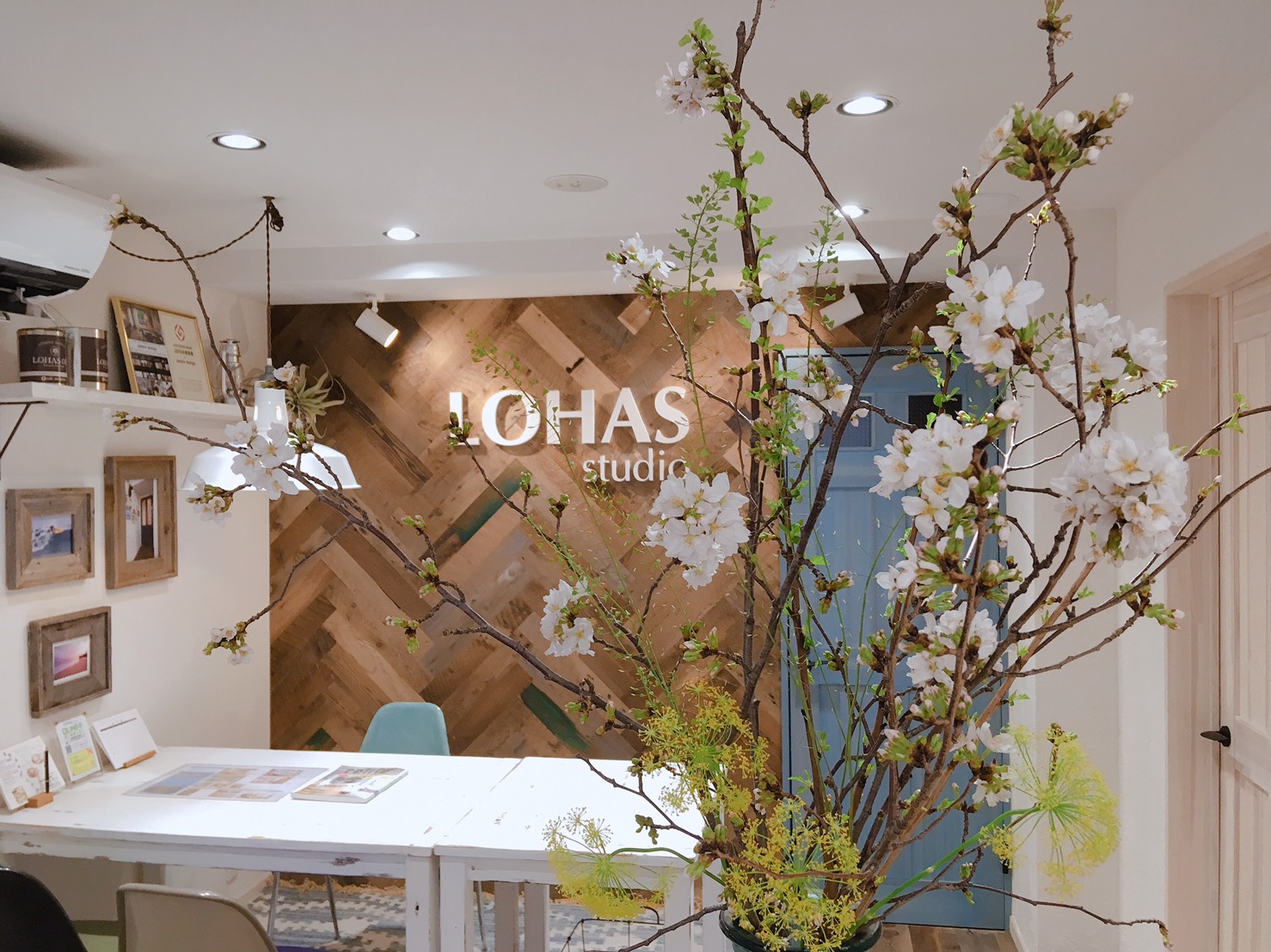 所沢店にも春がきました。