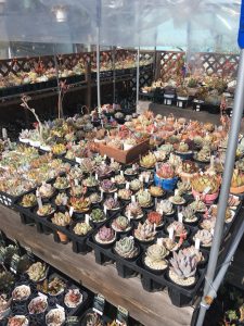 20190420_190420_0001