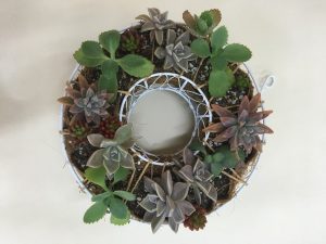 20190420_190420_0005