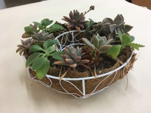 20190420_190420_0006