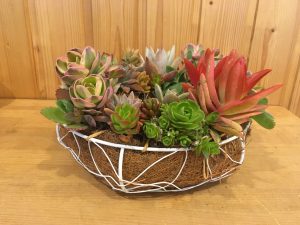 20190420_190420_0009