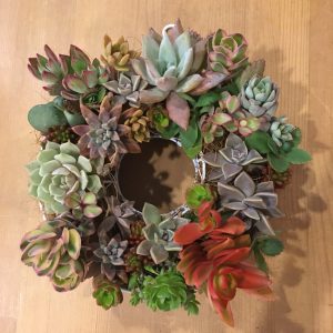 20190420_190420_0012