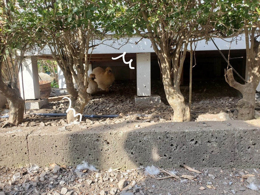 日光×カフェ＝日光珈琲　＠鹿沼市