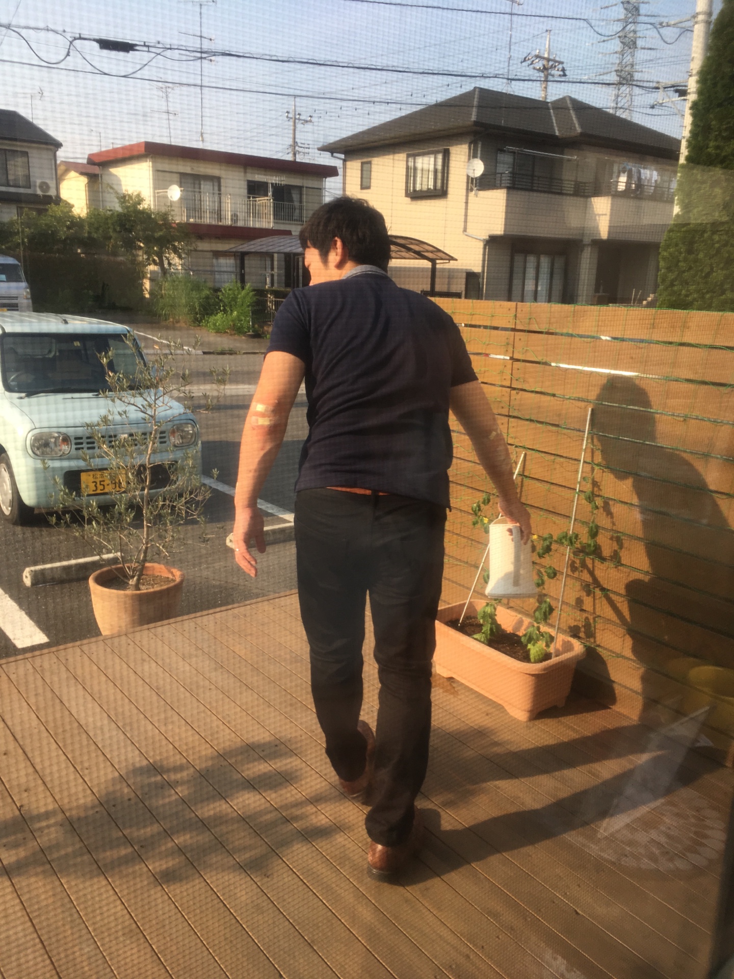 ゴーヤに水やり