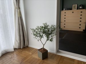 637C99AB-65FB-48AD-B9C3-2DD4742A6F8A