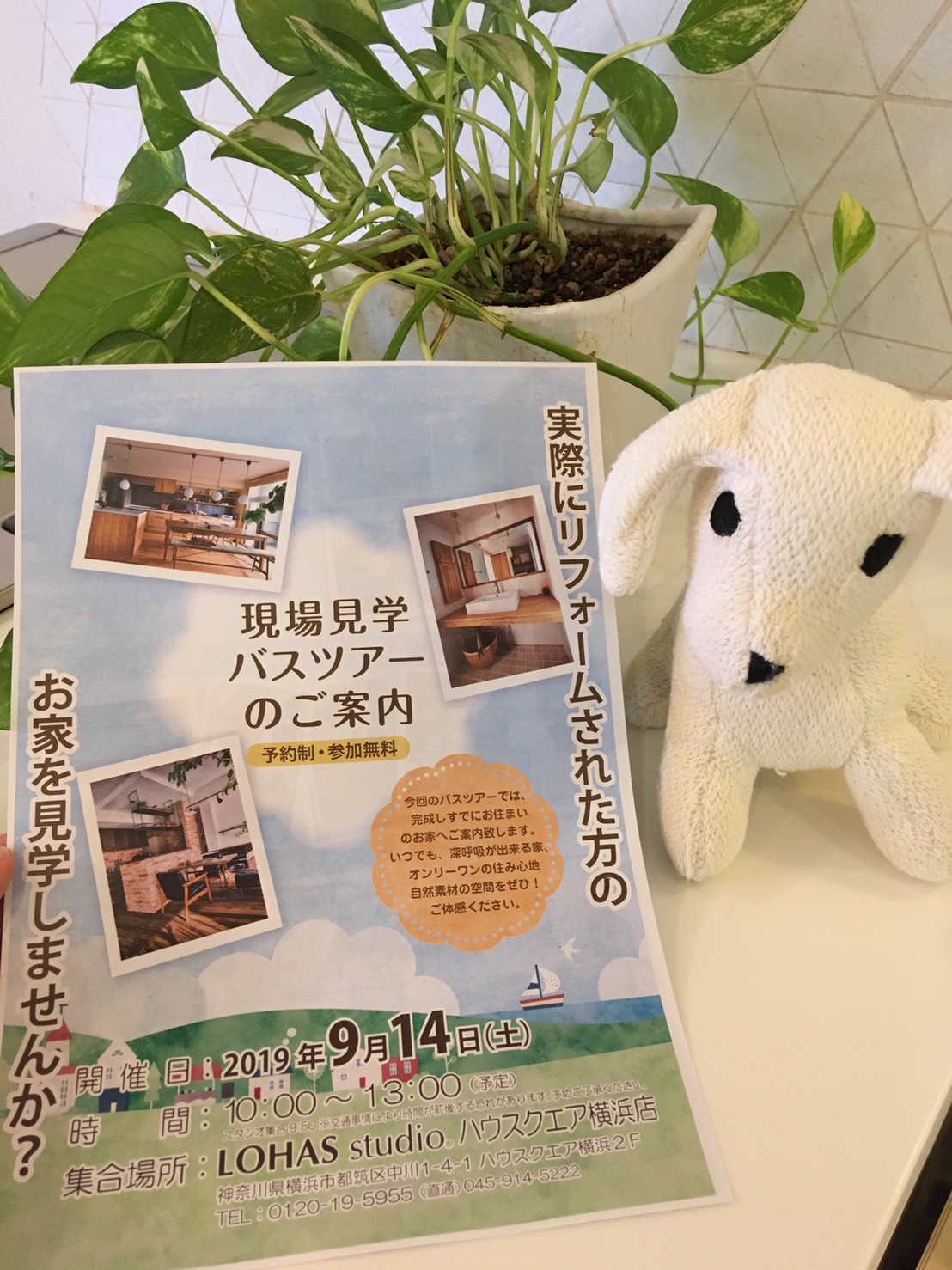 9月のバスツアー　LOHAS studio　HS横浜店