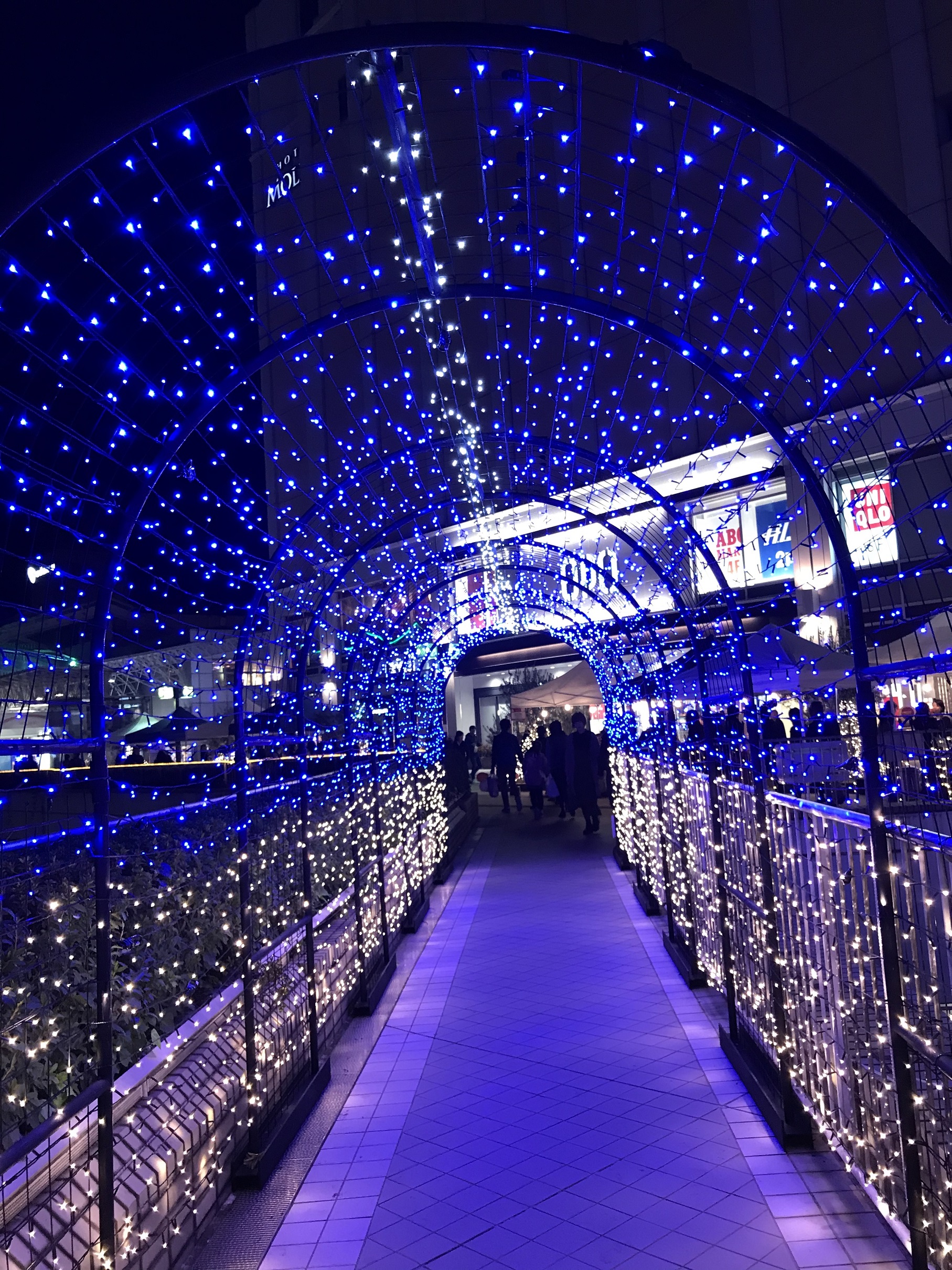 今年最初のイルミネーション☆