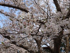 1069898C-FCF9-4EEA-850B-AA9116BCDA3E