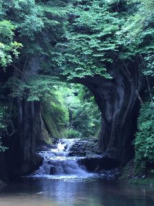梅雨の晴れ間に…