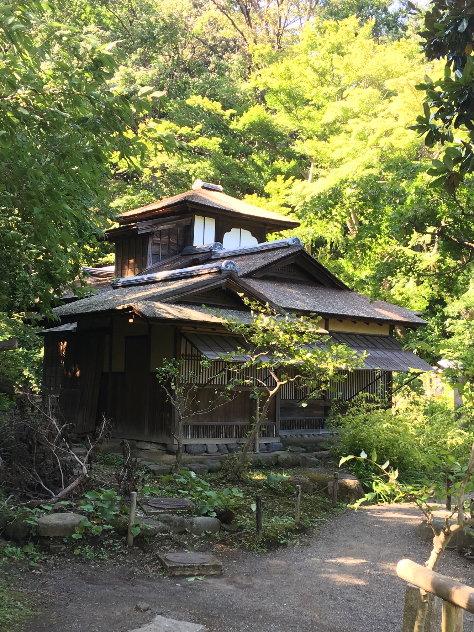 ぶらり旅in横浜【三渓園】