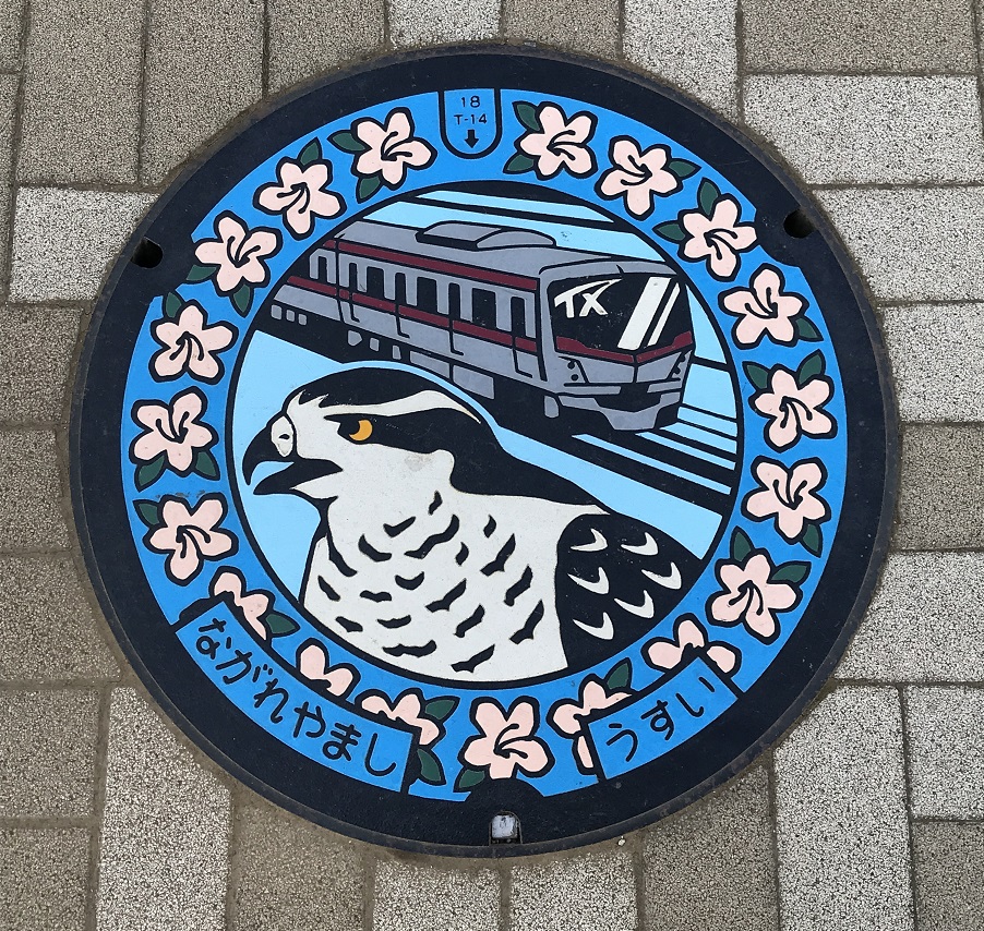 発見！あなたの街のマンホール：流山おおたかの森