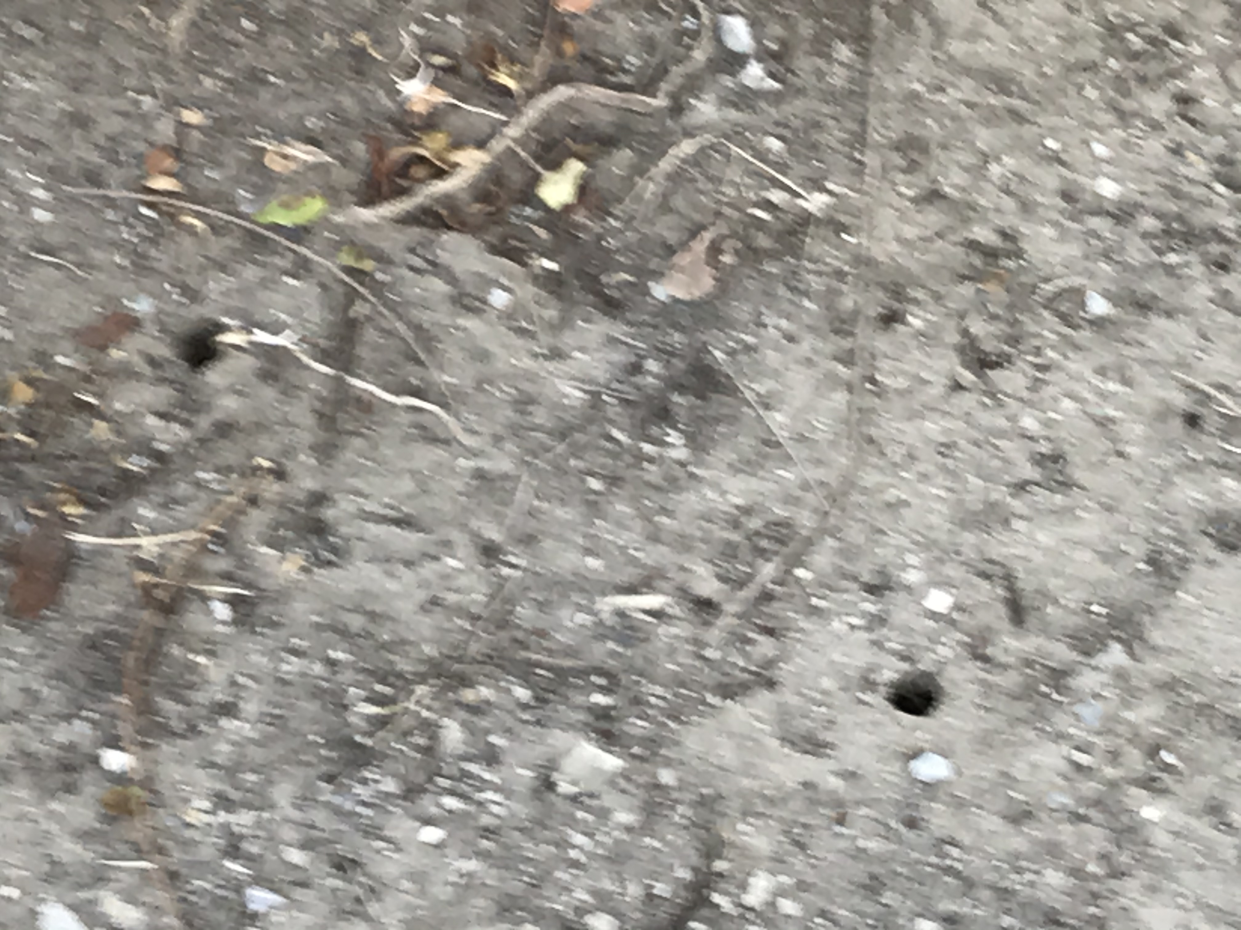 残暑お見舞い申し上げます