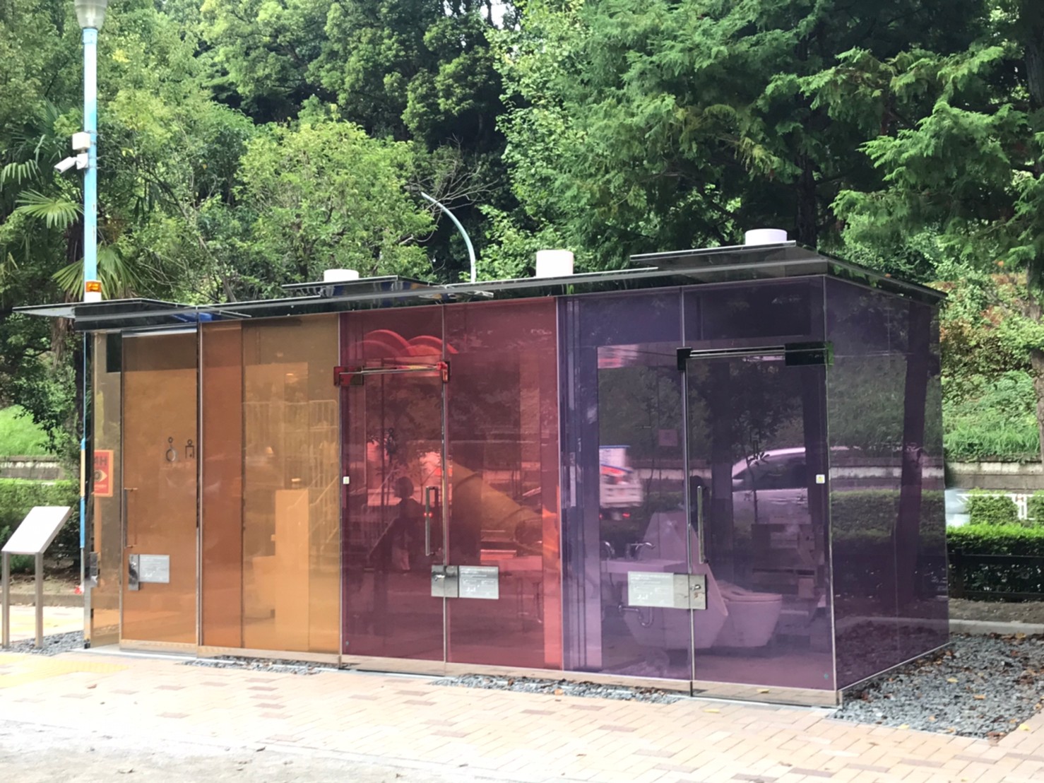 発見！！ スケルトントイレ🚻