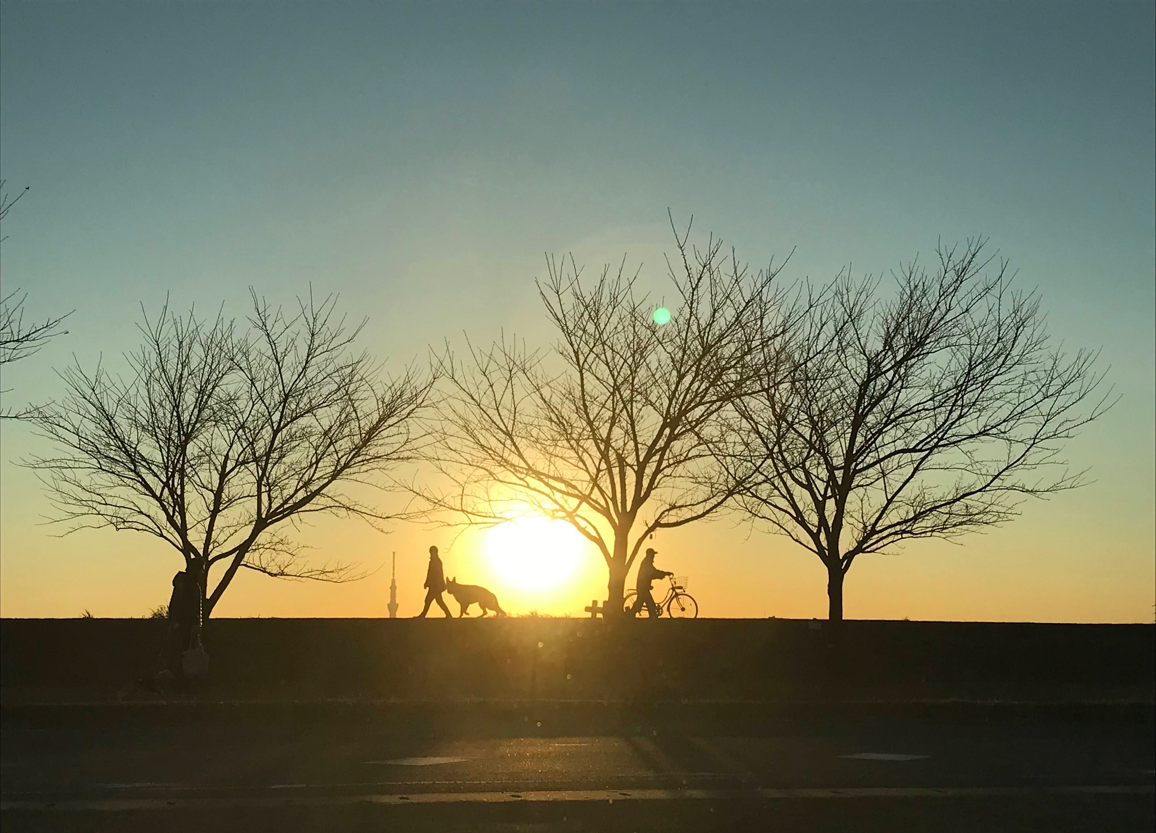 夕暮れ～千葉県松戸市より