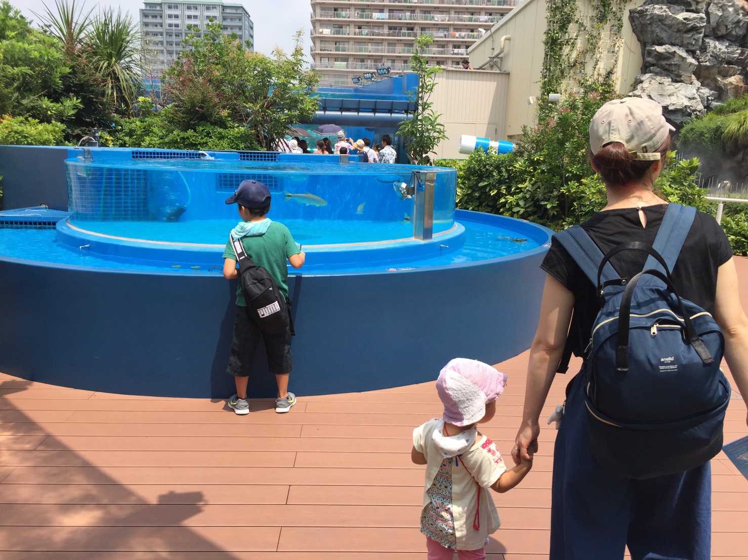 空飛ぶペンギン