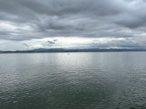 472352CB-B795-4150-BD17-59C60B402D93
