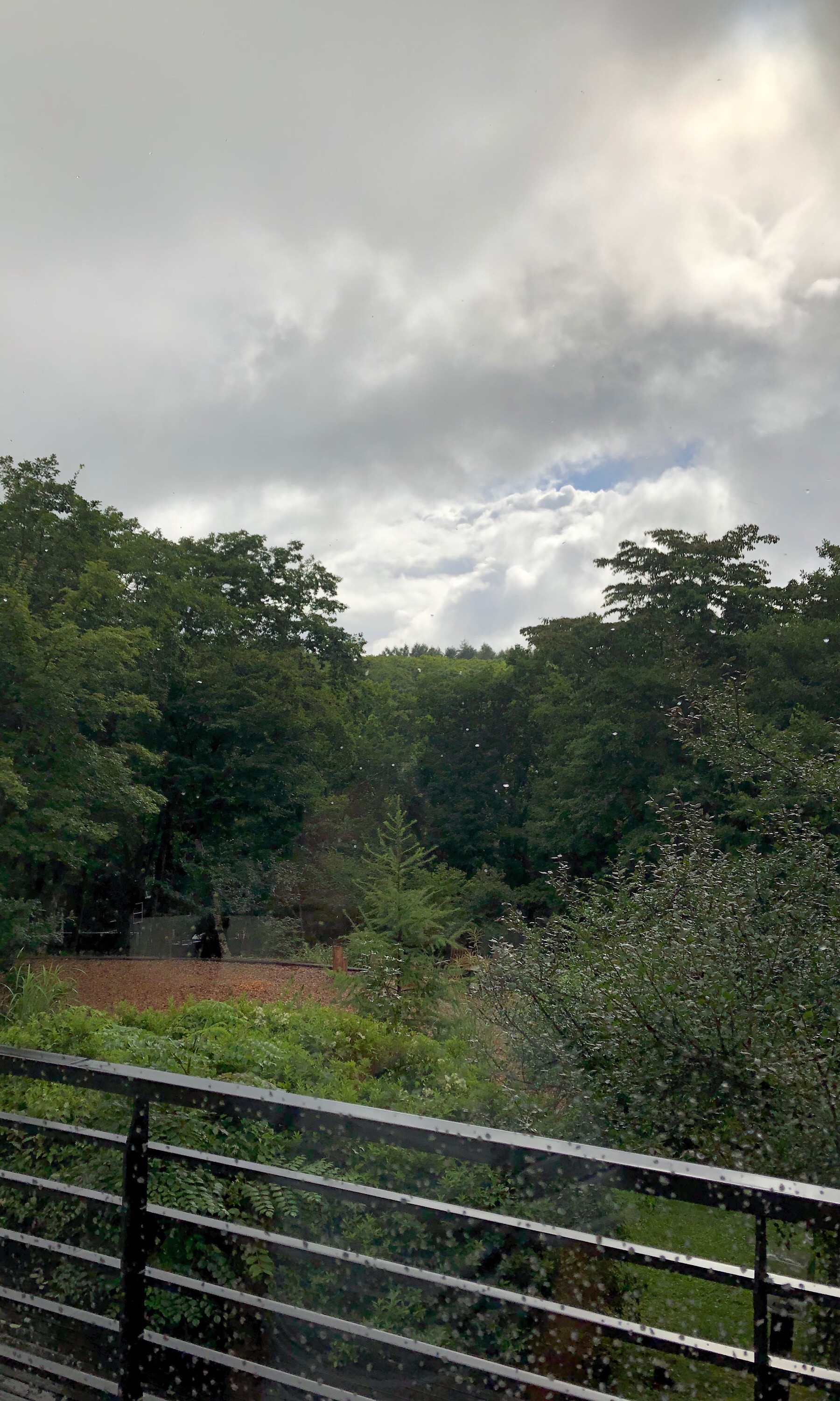 山中湖畔 ラプソディ