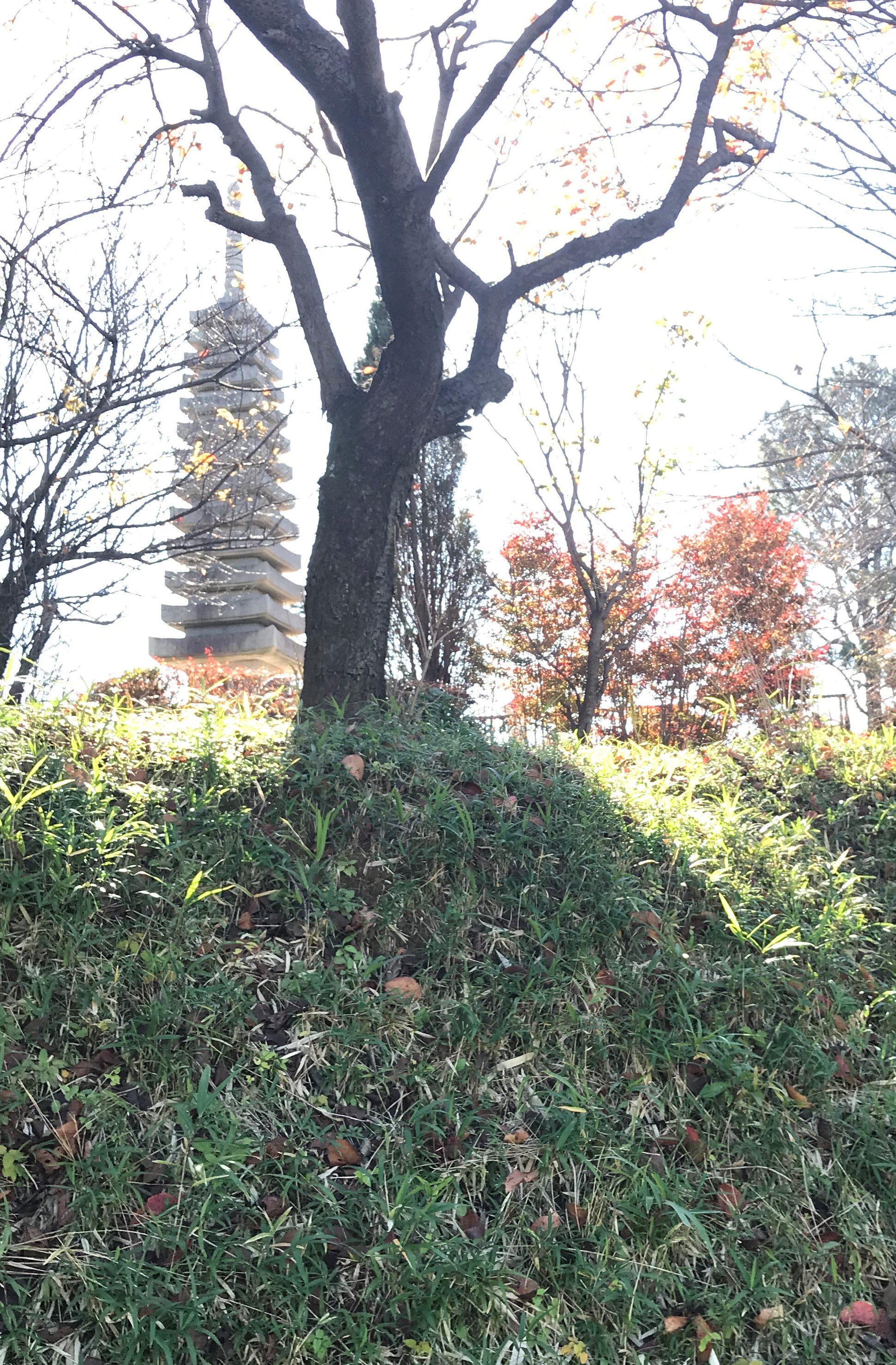 慈恩寺　玄奘塔