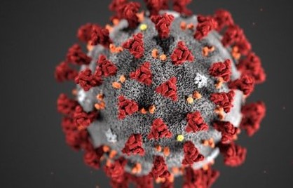 そもそもコロナウィルスって？