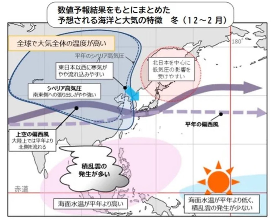 今年の冬は寒い！・・らしいです