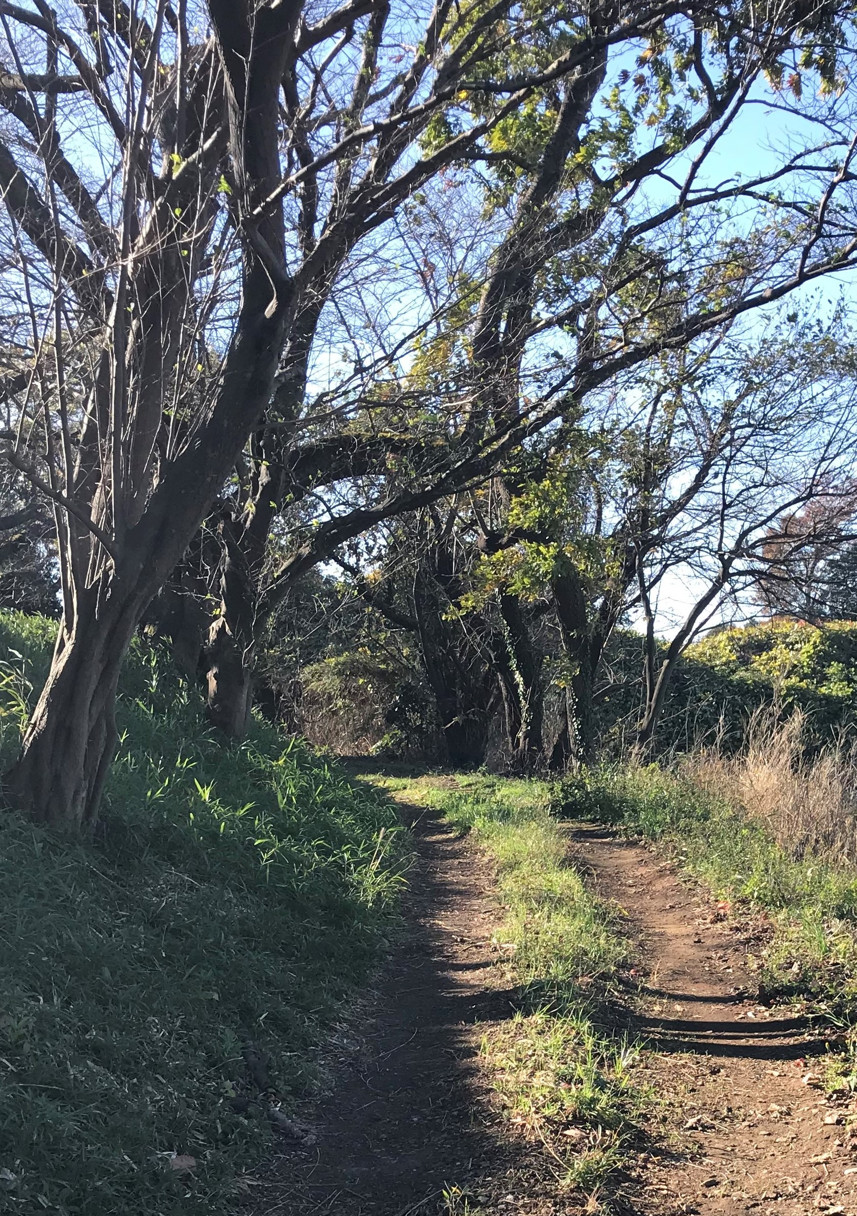 コロナ禍の中で思う事・・