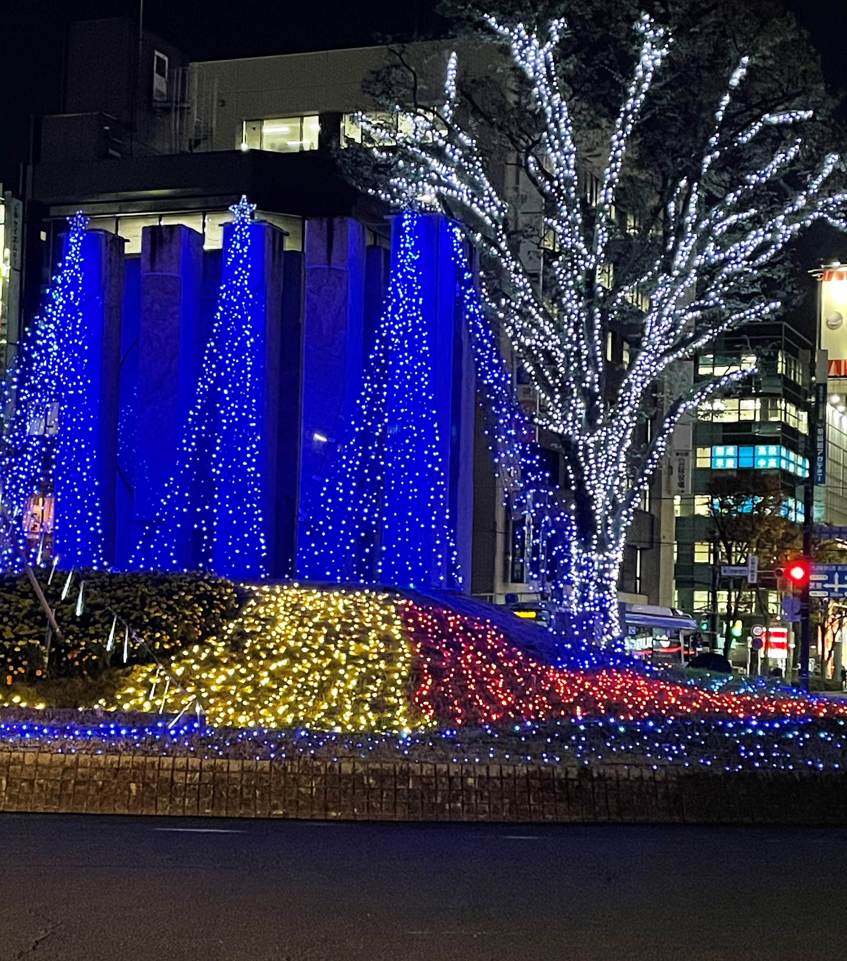 イルミネーション🌟