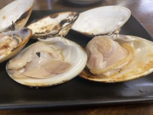 0000238575-21648615095