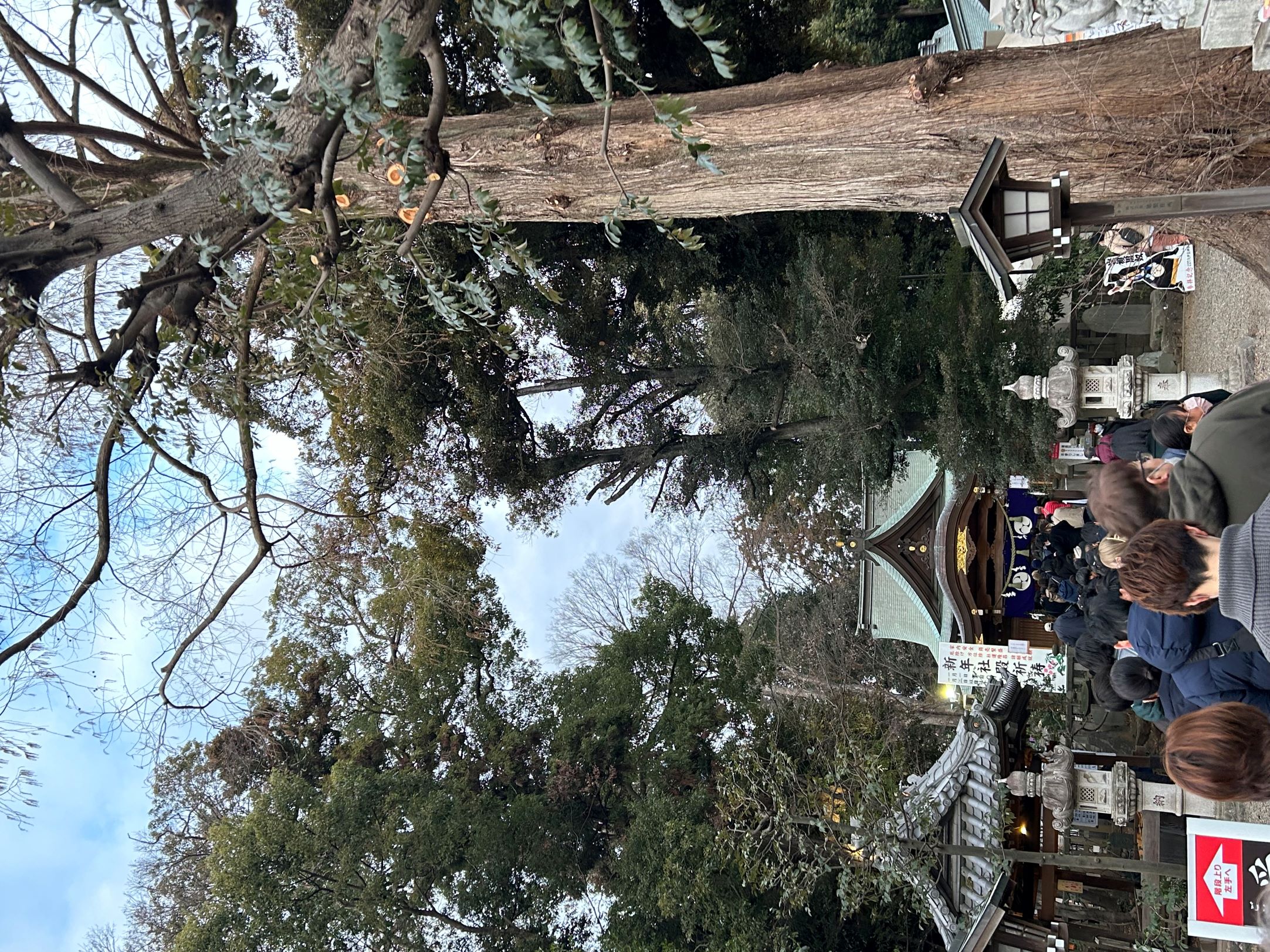 明けましておめでとうございます🌄