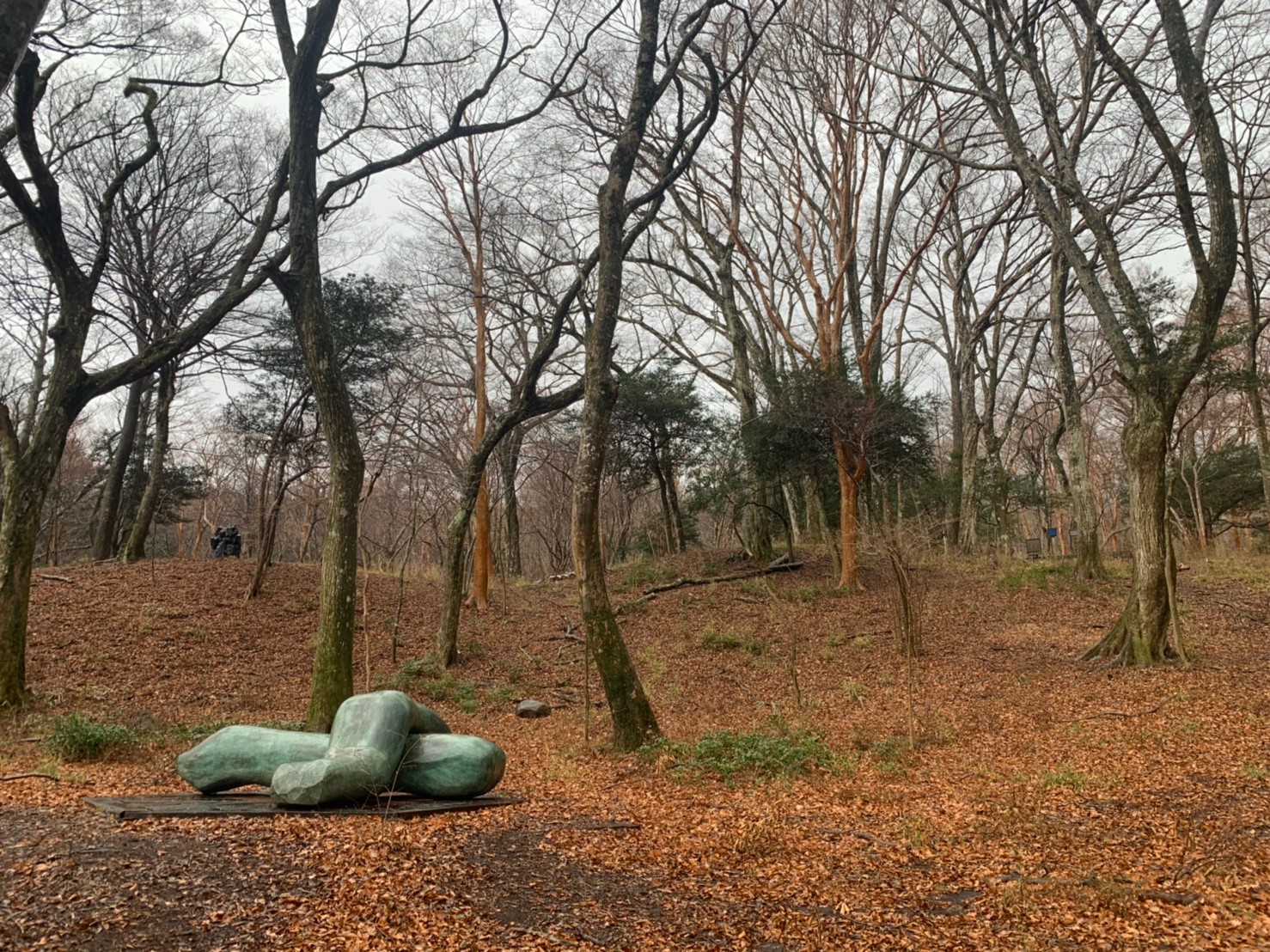 明けましておめでとうございます。