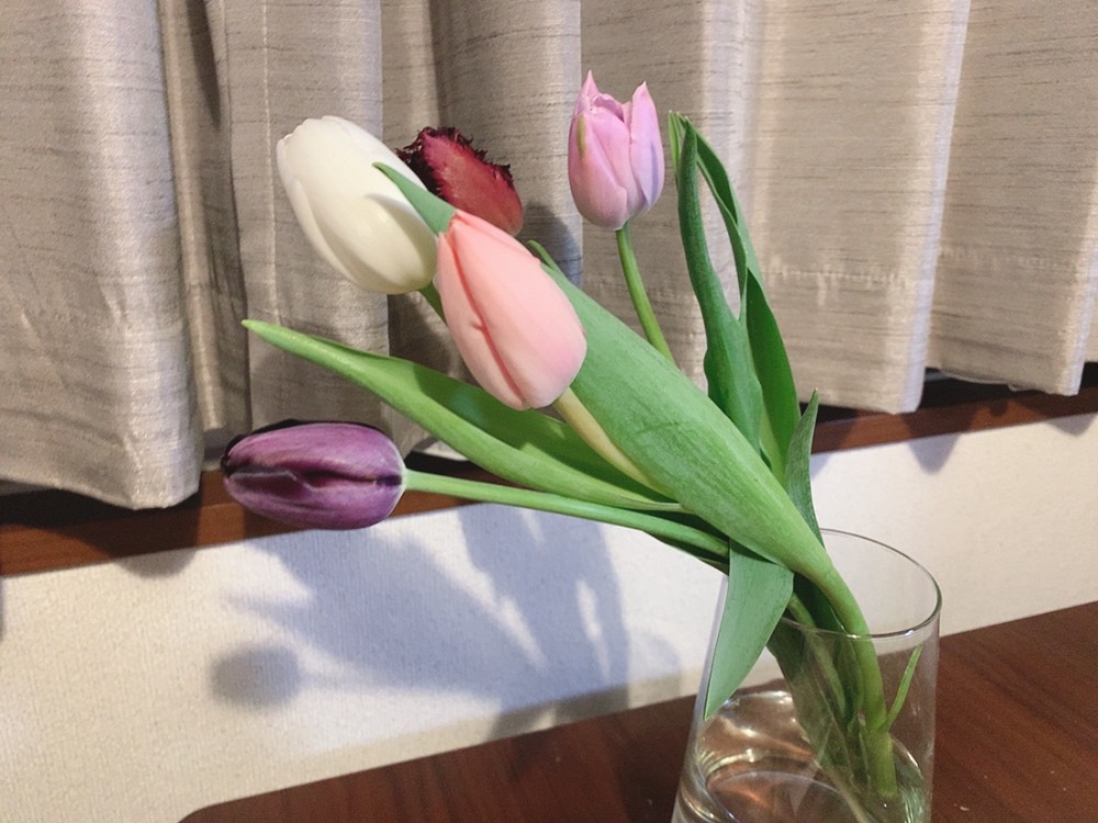 一重咲き、八重咲き、フリンジ咲き・・・