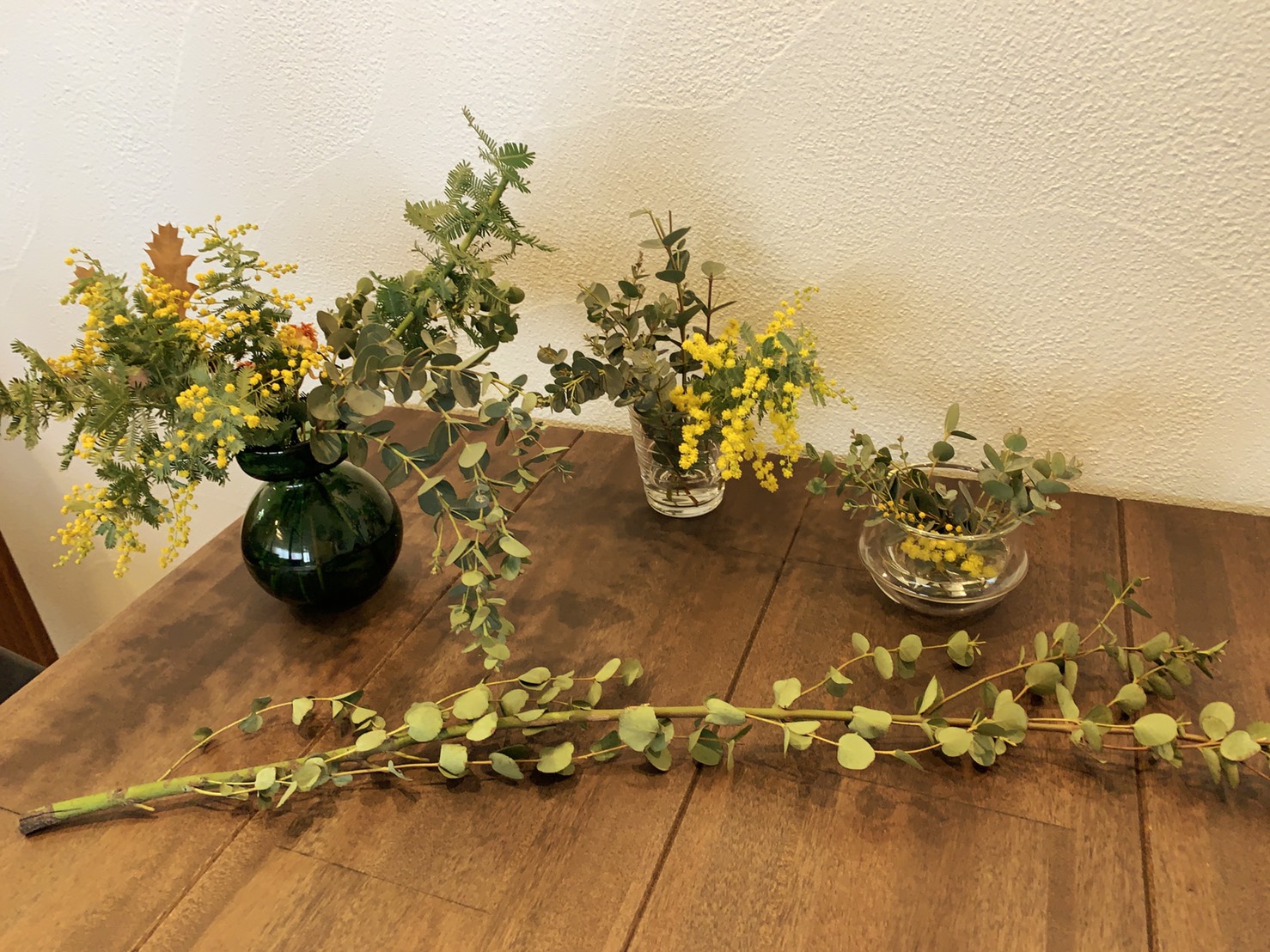 ミモザ　鮮やかな黄色が可愛いです