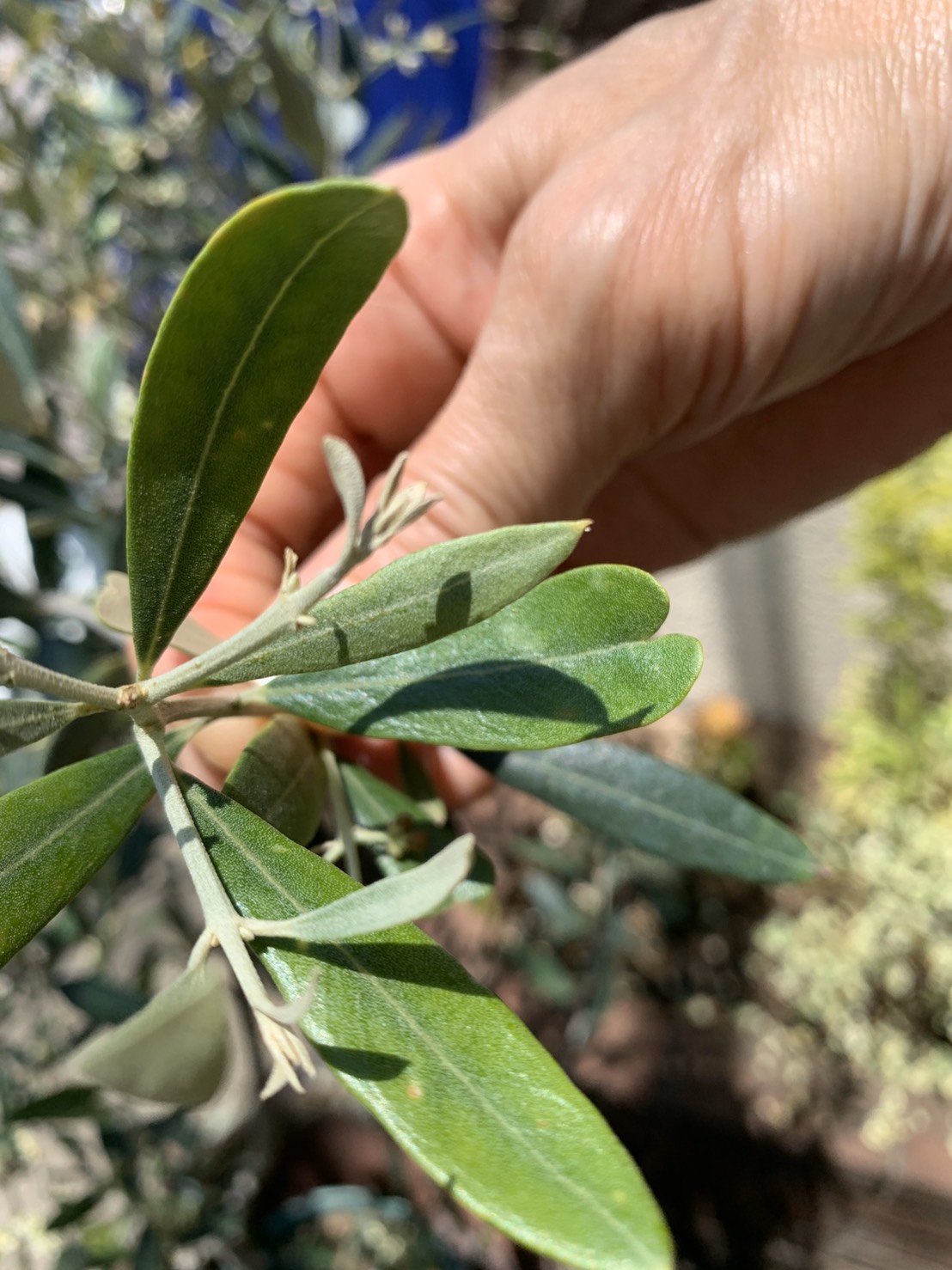 ふと見てみたら・・・♡