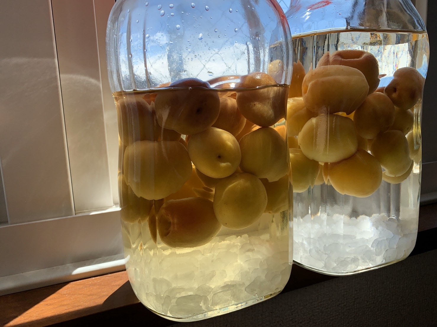 初めての梅仕事・・・