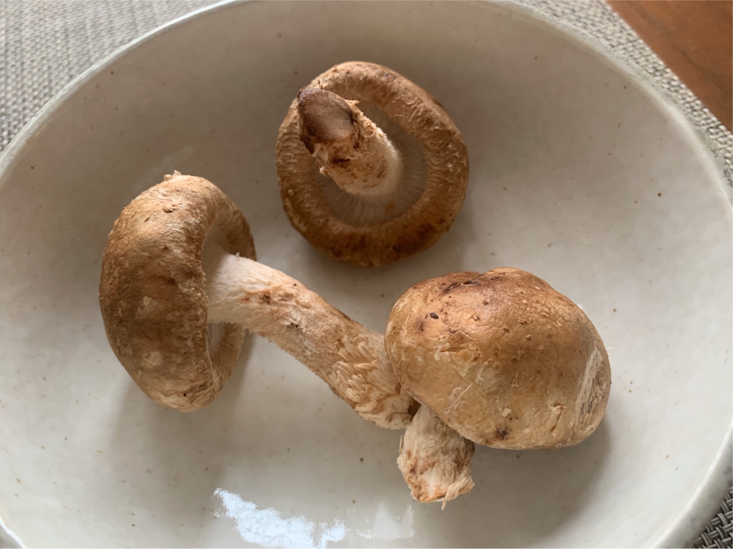 しいたけで下期を想像・・・・