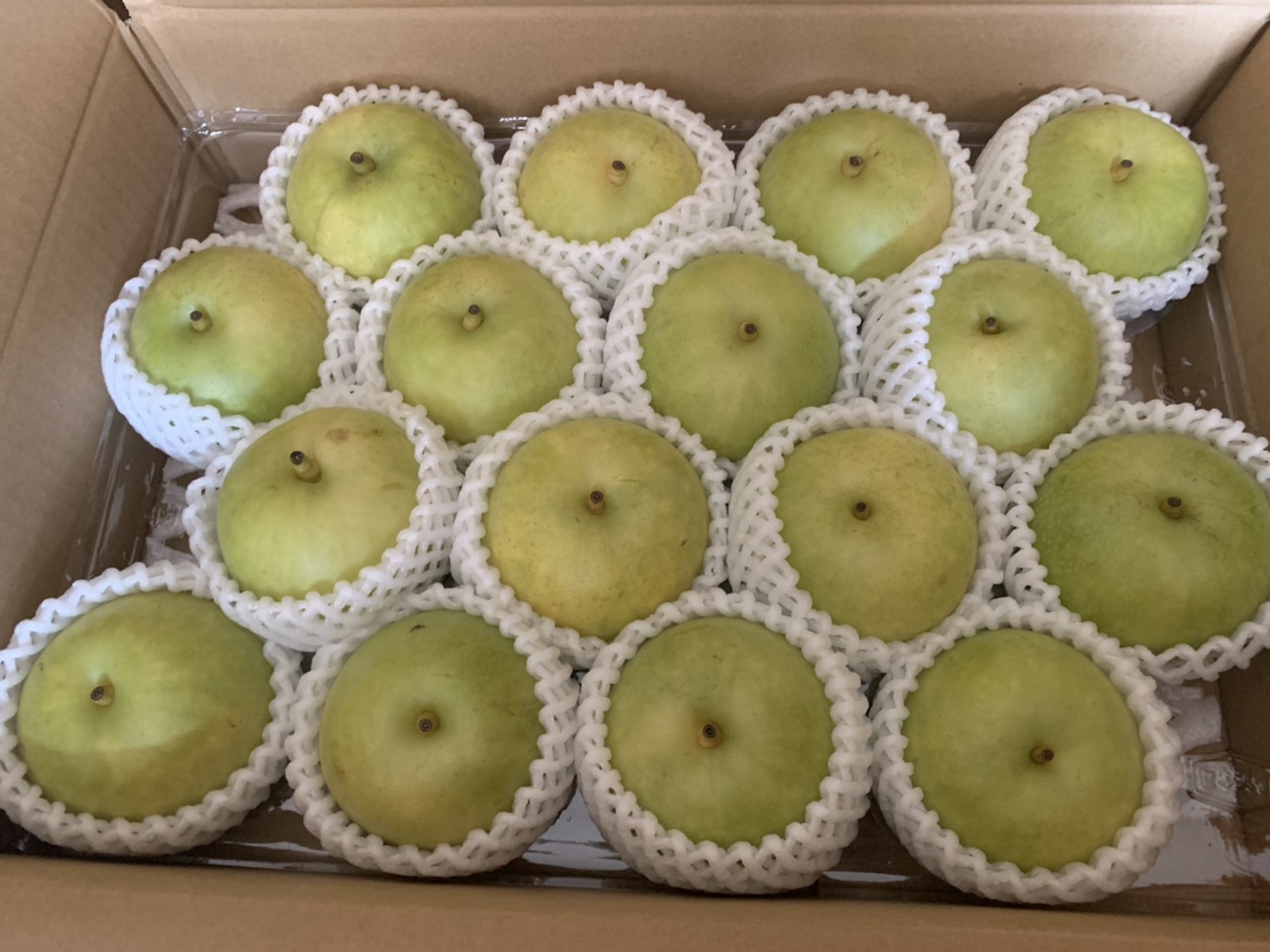 梨のおいしい季節になりましたね