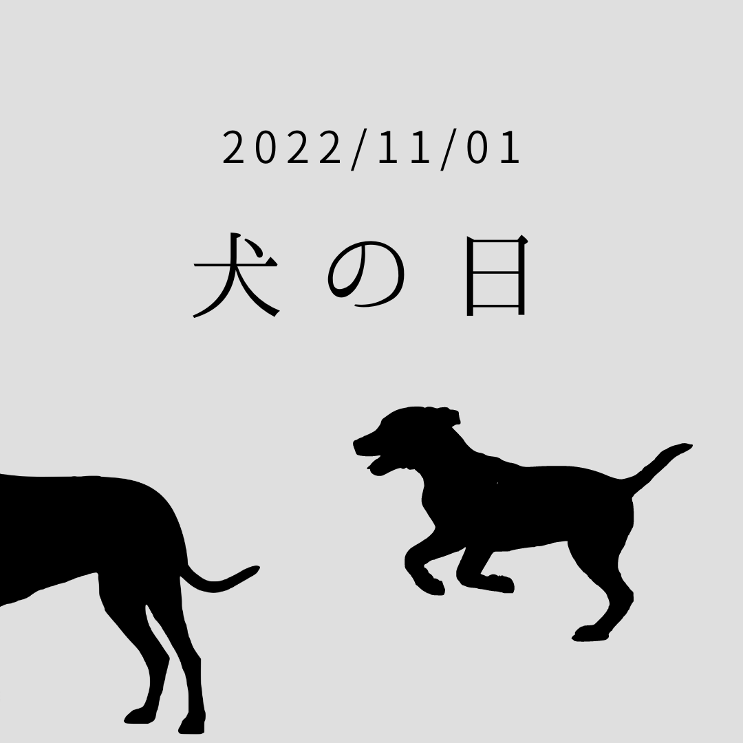 〈今日は何の日？〉　11/1　犬の日