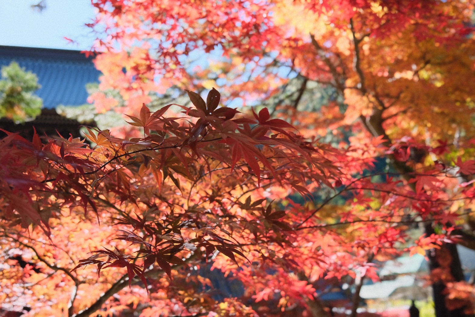 ゆるキャン△の聖地に！　身延山