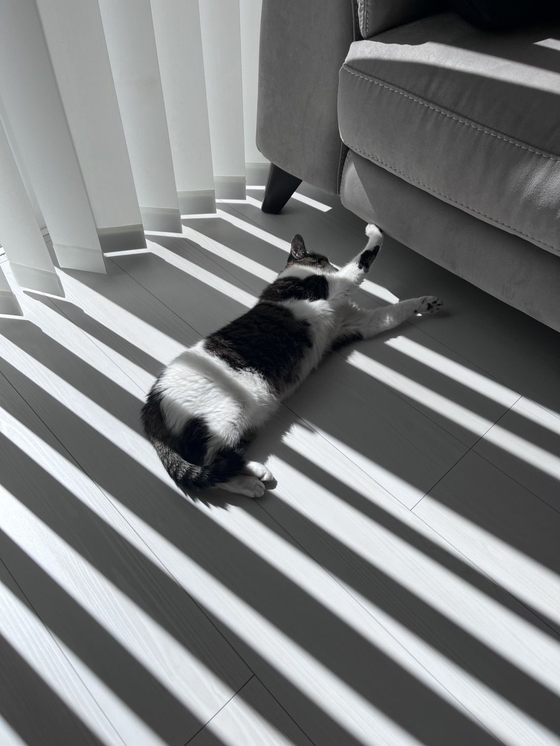 撮影でのかわいい出会い