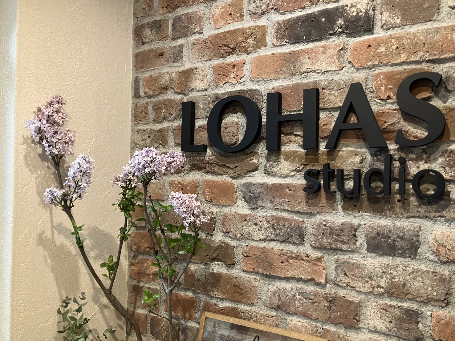 ４月のお花   -LOHAS studio立川店-　