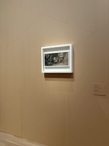 S__55165051_0