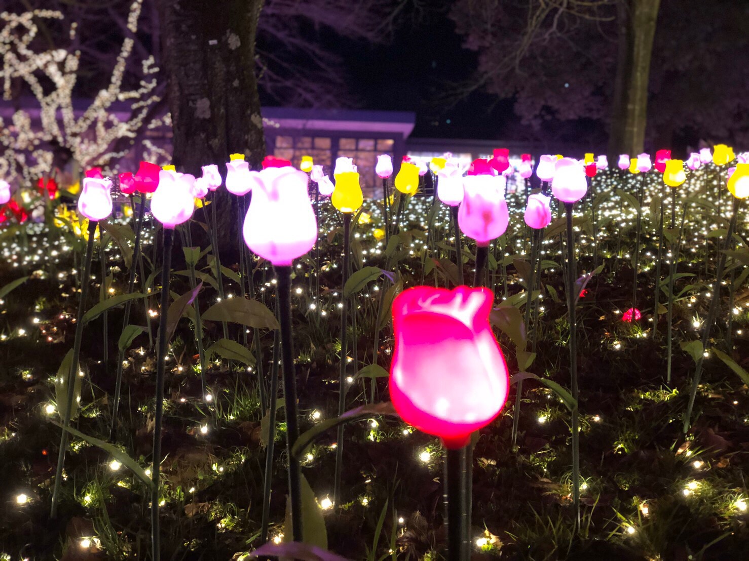 クリスマスのお話