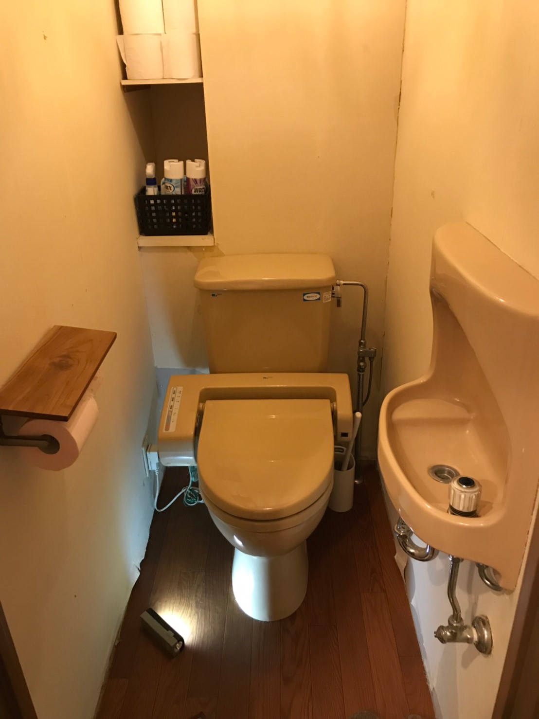 ～機能とデザインの両立　おしゃれなトイレ～