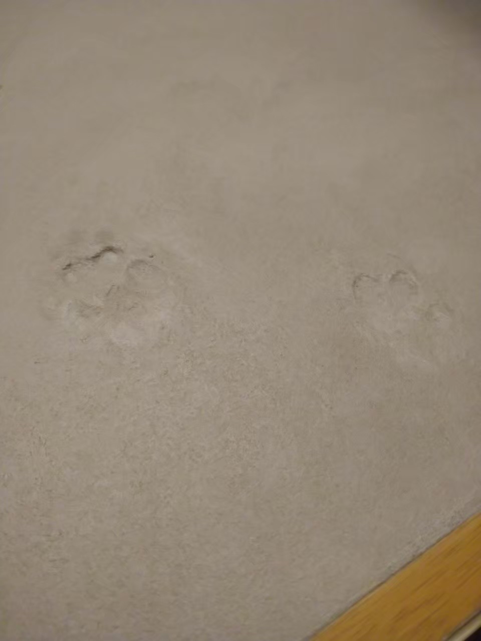 モールテックス　洗面台