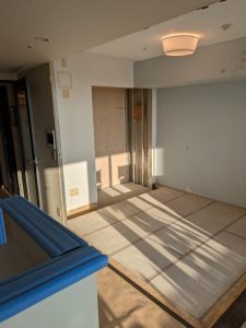 s1036441_20250901174211249